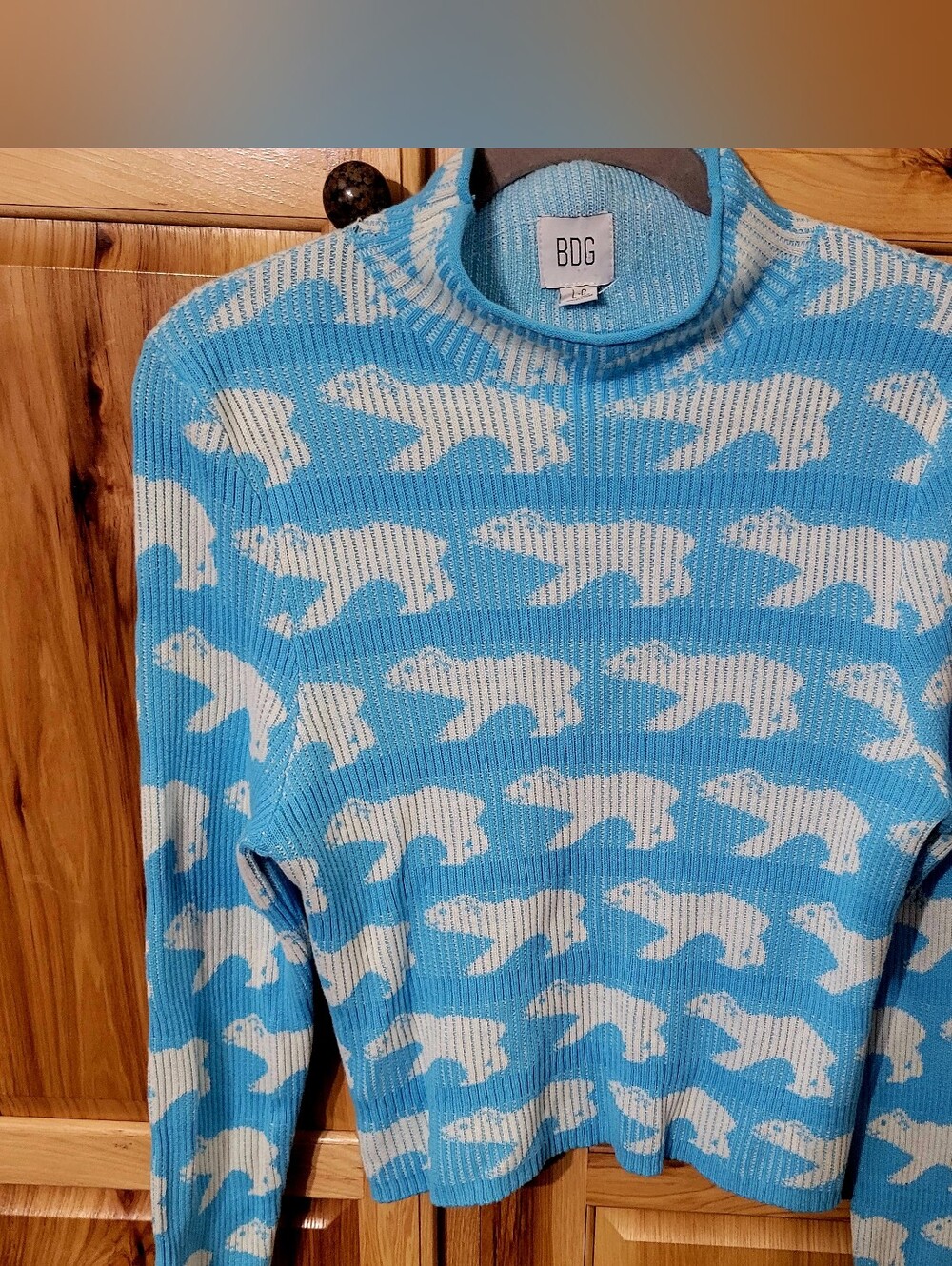 BDG Blue and White Polar Bear Crop Turtleneck Sweater Sz L